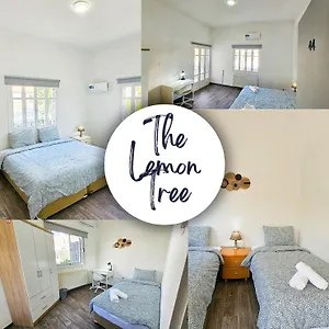 The Lemon Tree , Larnaca Cypr